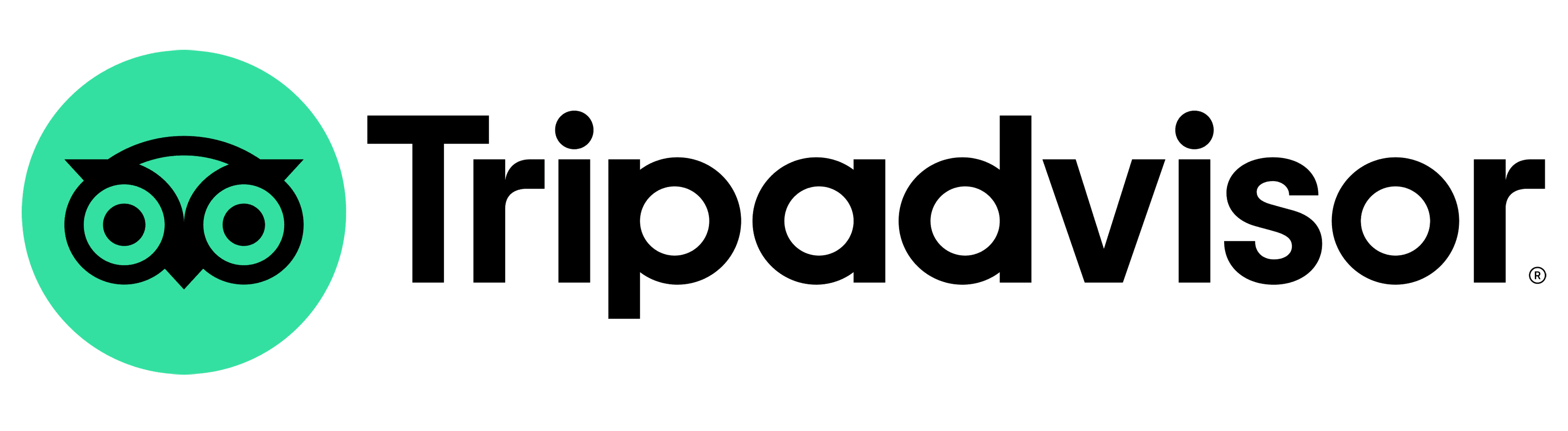 Tripadvisor-Logo_2023