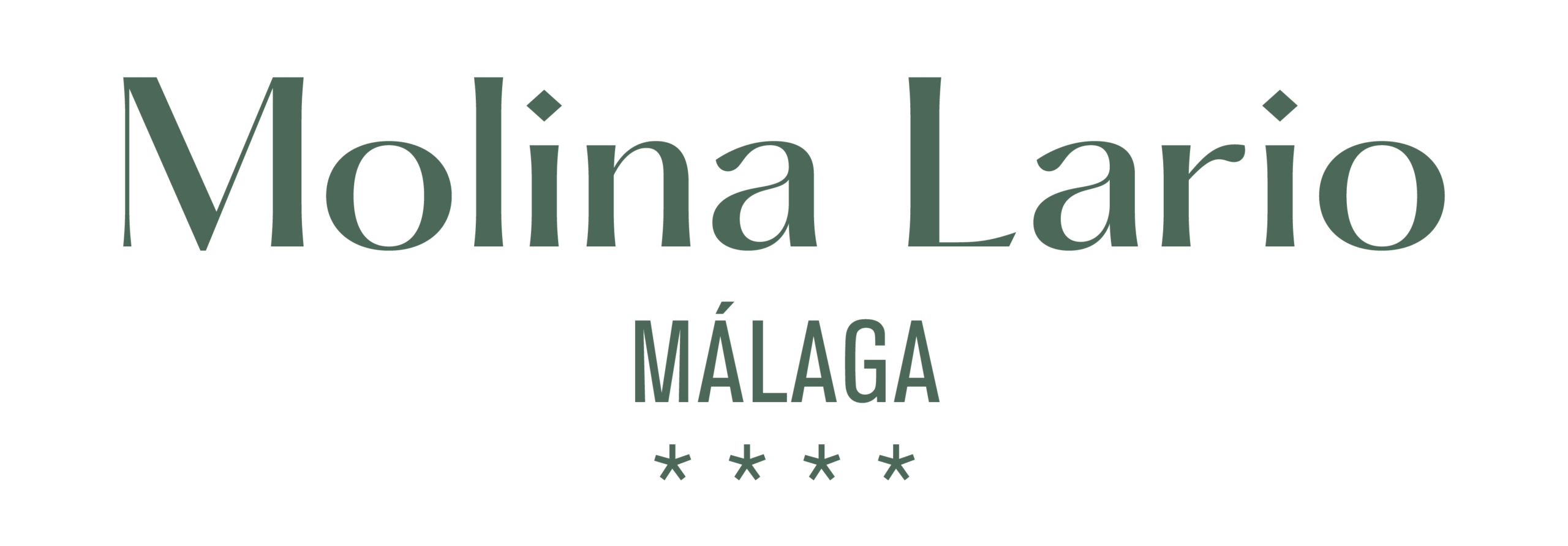 LOGO MOLINA LARIO_COLOR_bold